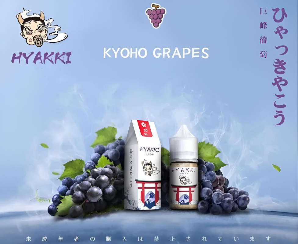 HYAKKI 哈亞齊日系進口 30ml／35mg 小煙專用煙油｜711貨到付款-5